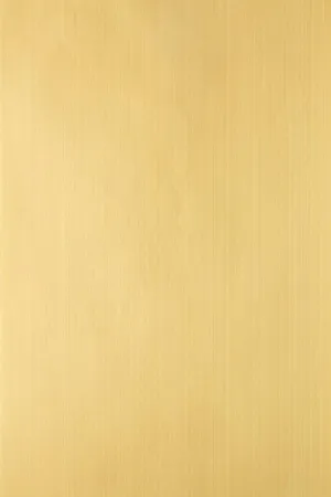 Farrow & Ball Wallpaper Dragged DR1246